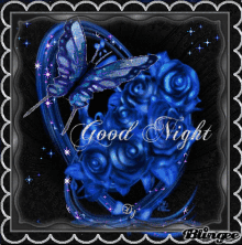 good night butterfly roses flowers blue