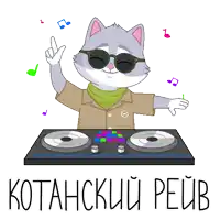 a cartoon of a cat wearing sunglasses and a shirt is playing music