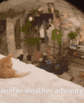 a cat is laying on a bed with the words winter weather advisory written below it