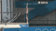 Dive Olympics GIF - Dive Olympics Swim GIFs