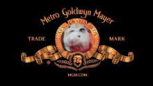 Hamster Yawn GIF - Hamster Yawn Metro Goldwyn Mayer GIFs