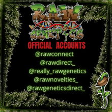 Official Raw Genetics Raw Links GIF - Official Raw Genetics Raw Genetics Raw Links GIFs