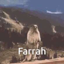Farrah GIF - Farrah GIFs
