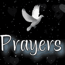 Praying For You Prayer GIF - Praying For You Prayer Prayers GIFs