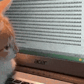 a cat is looking at a computer screen with a lot of screaming letters on it .
