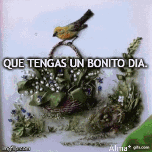 Bonito Dia GIF con pajaritos gif Bonito Dia GIF