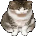 a brown and white cat is sitting down with its eyes closed and looking at the camera .