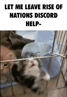 kitty rise of nations discord rise of nations rise of nations roblox discord