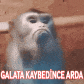 Arda Galata Kaybedi̇nce Arda GIF - Arda Galata Kaybedi̇nce Arda Galatasaray GIFs