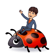 Ladybug GIF - Ladybug GIFs