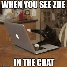 When You See Zoe When Zoe Hasn'T Replied GIF - When You See Zoe When Zoe Hasn'T Replied Paraverse GIFs