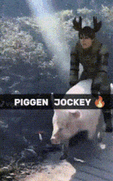 a person riding a pig with piggen jockey written on the bottom