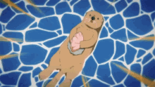 Clam Otter GIF - Clam Otter Funny GIFs