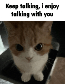 a picture of a cat with the words keep talking i enjoy talking with you below it