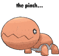 a cartoon of a turtle with the words the pinch above it