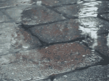 Pavement Rain GIF