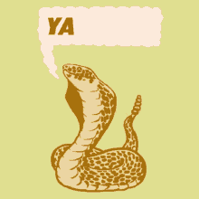 snake yasss