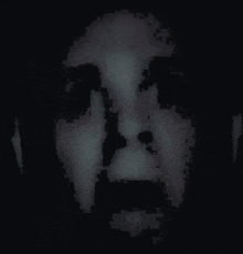 a pixelated image of a man 's face with the words vladuk written below it