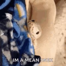 Cute Snek GIF - Cute Snek Snake GIFs