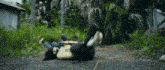 a person laying on the ground with the number 20 visible