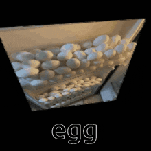 Egg Roll GIF - Egg Roll GIFs