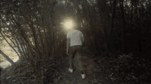 Into The Woods Bazzi GIF
