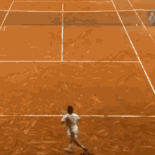 Cat Tennis Court GIF - Cat Tennis Court Federico Gaio GIFs
