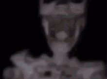 skeleton meme fan