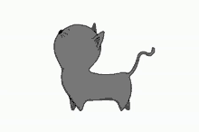 Walk Cat GIF - Walk Cat GIFs
