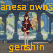 Anesa Genshin GIF