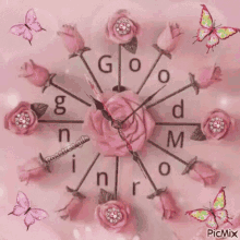 Good Morning Roses GIF - Good Morning Roses Pink GIFs