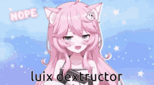 Luix Dextructor Nyanners GIF - Luix Dextructor Nyanners Vtuber GIFs