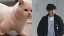 a man in a black jacket is standing next to a white cat .
