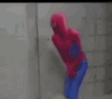 Spiderman Toilet GIF