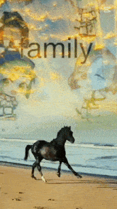 a horse is running on a beach with the word family behind it