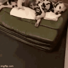 Puppy Dog GIF - Puppy Dog Dalmatian GIFs