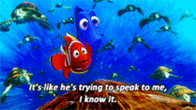 nemo its like hes trying to speak to me finding nemo