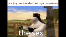 joe rogan the sex