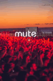 Mute Mar Del Plata GIF - Mute Mar Del Plata Mute Mar Del Plata GIFs