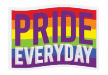 stickergiant pride pride flag nonbinary gay