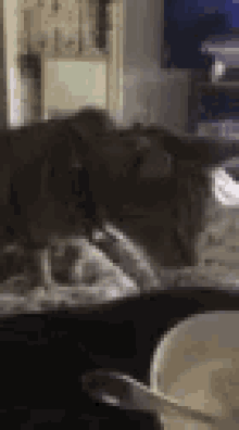 a cat is laying on a bed next to a bowl of cereal and a spoon .