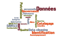 a word cloud with the word données in the center