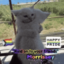 a cat is standing in front of a rainbow flag and a sign that says happy pride