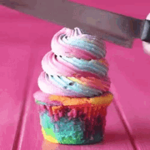 cutting rainbow stim cupcake food