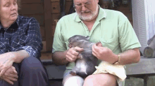 Tickles GIF - Wombat Wombats Tickle GIFs