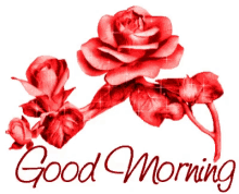 Good Morning Bahonon GIF - Good Morning Bahonon Jayjay GIFs