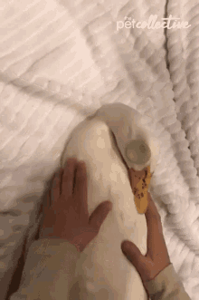 Massaging Duck GIF