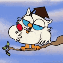 Owl Tootsie GIF - Owl Tootsie Roll GIFs