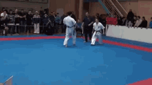 Ninja Kick GIF - Karate Fight Amazing GIFs