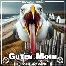 a picture of a seagull with its tongue hanging out and the words guten moin